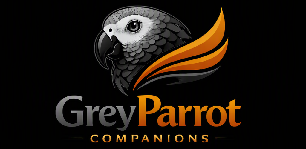 Grey Parrot Companions