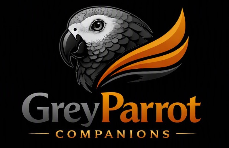 Grey Parrot Companions